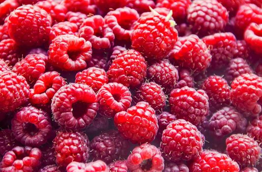 Raspberries are in the hands of a child in the form of a heart.