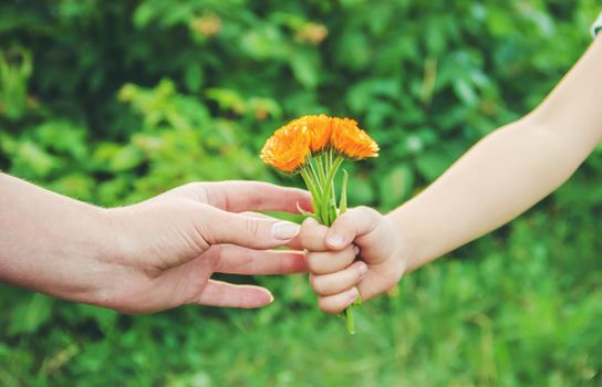 The child gives the flower to his mother. Selective focus.