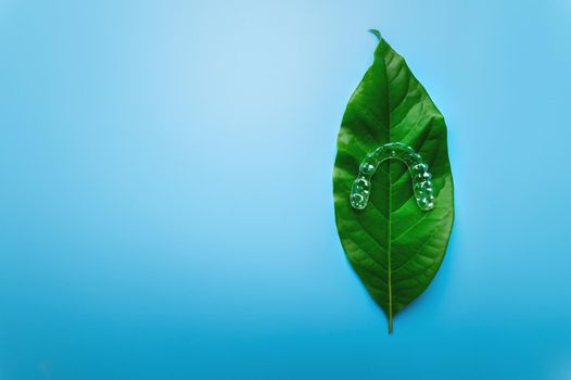 invisible plastic aligners lie on a green juicy leaf from a flower and a blue background. orthodontics and dentistry, gentle dental care.