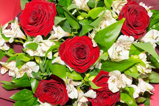bouquet of red roses and white alstroemeria flowers close up. High quality photo