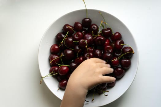 Healthy eating and food concept - cherries in white bowl. . High quality photo