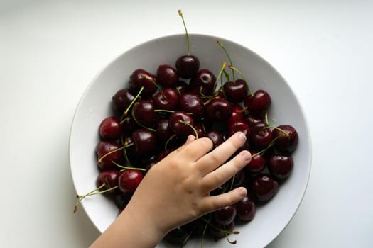 Healthy eating and food concept - cherries in white bowl. . High quality photo