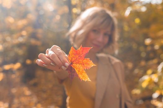 Woman holding yellow and orange autumn maple leaf..