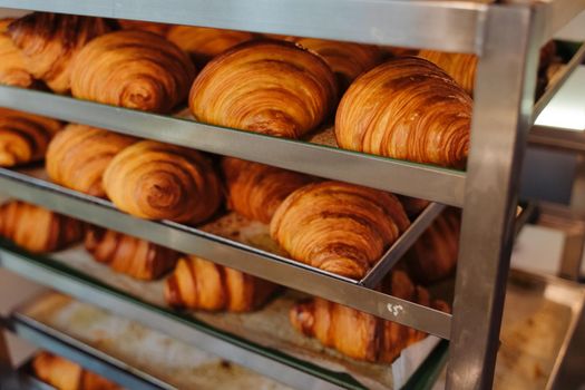 Bun production. Family bakery. Hot croissants only from the oven. Fresh bakery.