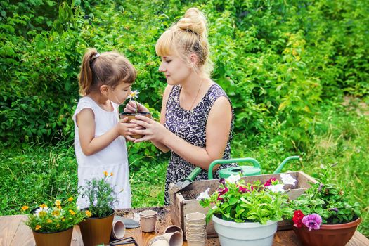 A little girl is planting flowers. The young gardener. Selective focus.