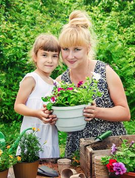 A little girl is planting flowers. The young gardener. Selective focus.