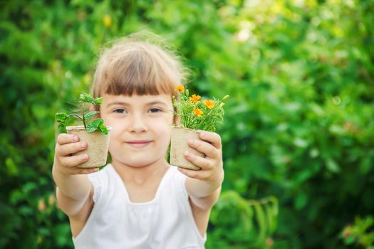 A little girl is planting flowers. The young gardener. Selective focus.