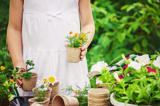 A little girl is planting flowers. The young gardener. Selective focus.