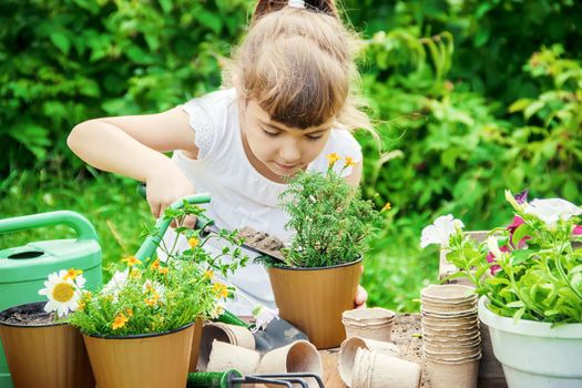 A little girl is planting flowers. The young gardener. Selective focus.