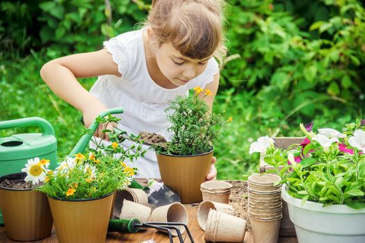 A little girl is planting flowers. The young gardener. Selective focus.