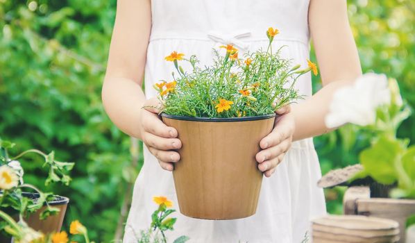 A little girl is planting flowers. The young gardener. Selective focus. nature.