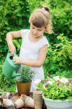 A little girl is planting flowers. The young gardener. Selective focus.