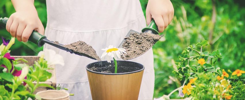 A little girl is planting flowers. The young gardener. Selective focus. nature.