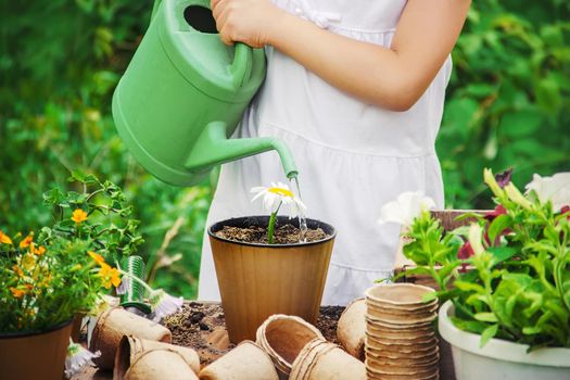 A little girl is planting flowers. The young gardener. Selective focus.