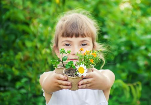 A little girl is planting flowers. The young gardener. Selective focus.