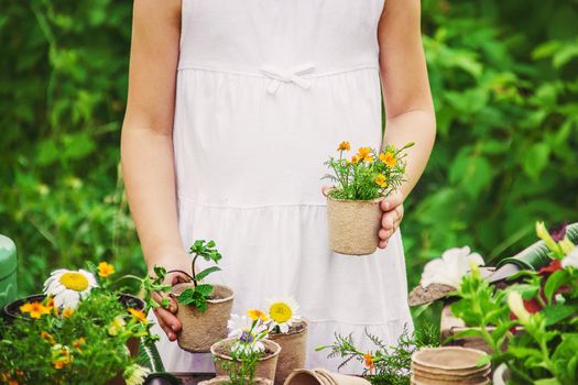 A little girl is planting flowers. The young gardener. Selective focus.