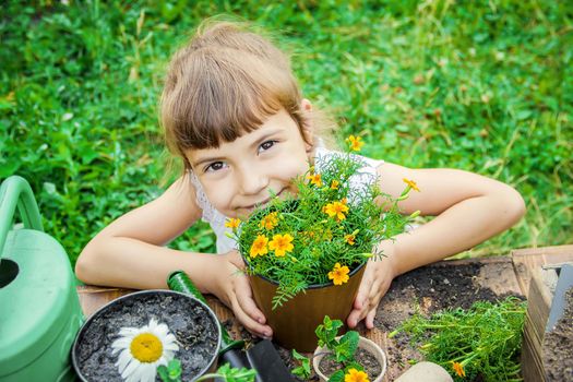 A little girl is planting flowers. The young gardener. Selective focus.