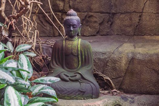 Randers, Denmark, March 2022: Buddha statue at tropical zoo.