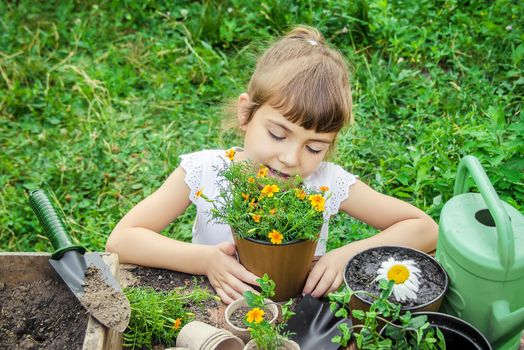 A little girl is planting flowers. The young gardener. Selective focus.