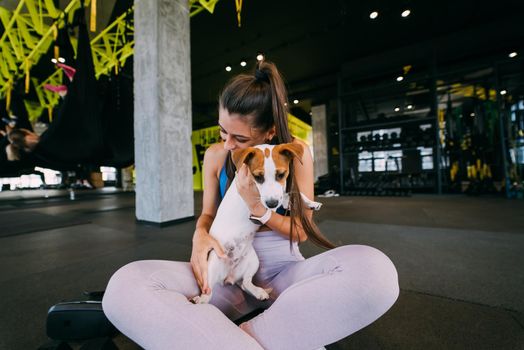 cute small jack russell dog in gym with her owner woman. Healthy lifestyle indoors