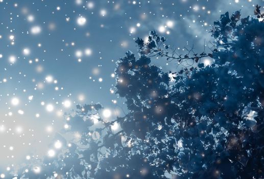 Magical, branding and festive concept - Christmas, New Years blue floral nature background, holiday card design, flower tree and snow glitter as winter season sale backdrop for luxury beauty brand