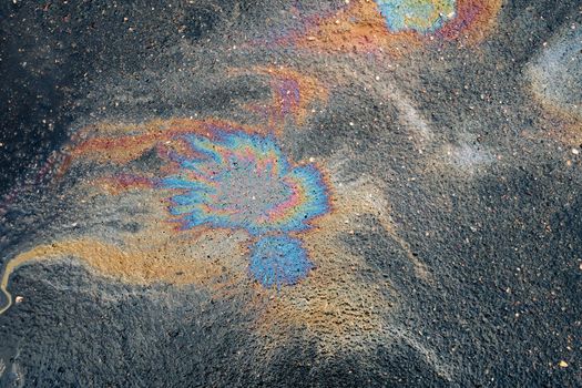 Colorful gasoline floral shape leaked on the wet asphalt road.