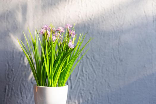 Beautiful houseplant with white flowerpot on light wooden office table texture.