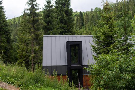 Modern designed house exterior with big green lawn garden and trees.