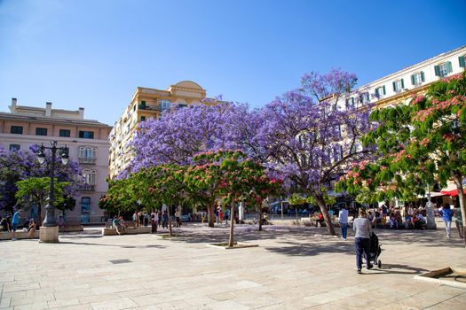 Malaga, Spain - May 23, 2019: Historic buildings and blooming trees on Plaza de La Merced, one of the main squares in the city centre.