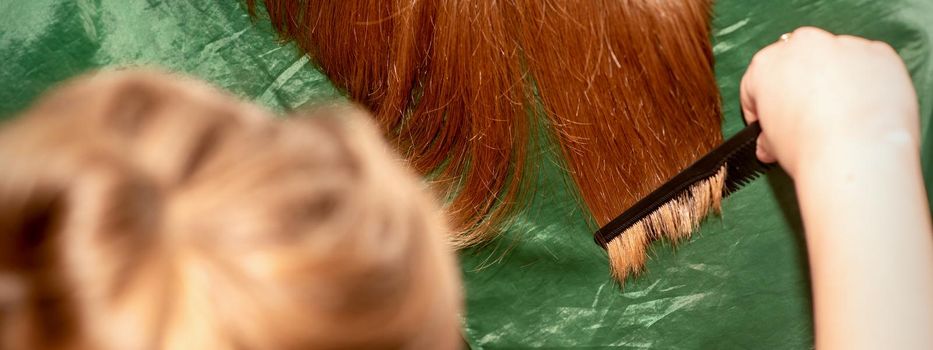 A hairdresser does a haircut and combes the long hair of a brunette woman in a beauty salon