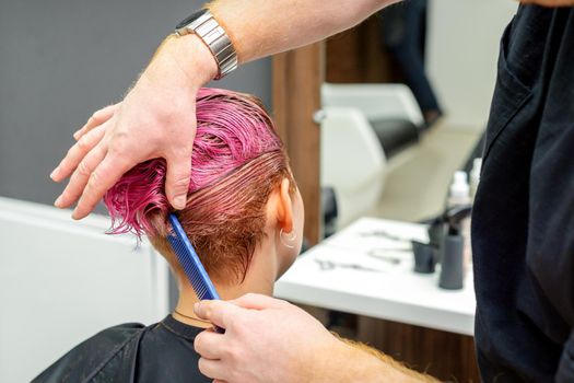 A hairdresser is combing the dyed pink wet short hair of the female client in the hairdresser salon, back view