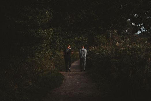 Two guys walking on forest. High quality photo
