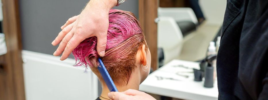 A hairdresser is combing the dyed pink wet short hair of the female client in the hairdresser salon, back view