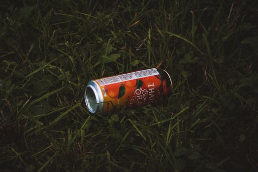 Cider can garbage on nature. High quality photo