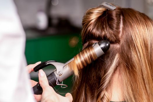 The female hairdresser is curling hair for a brown-haired young caucasian woman in a beauty salon