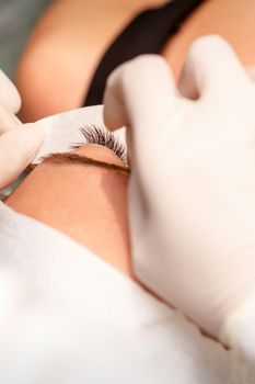 The hands of the cosmetologist are gluing white tape under the eye of the young caucasian woman during the eyelash extension procedure, closeup