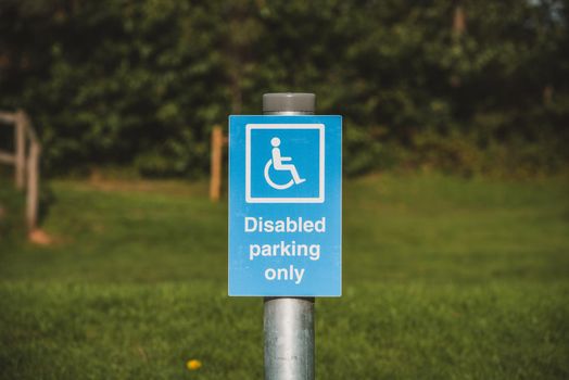 Disable park only. High quality photo