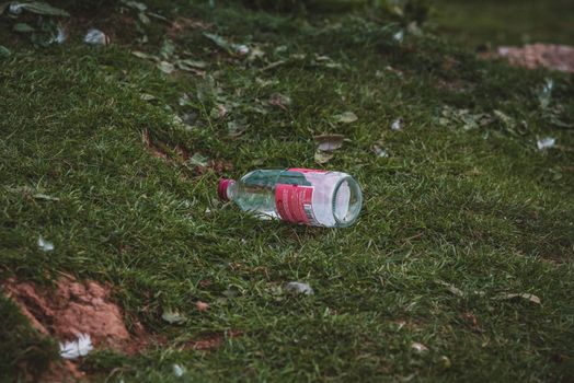 Cider can garbage on nature. High quality photo