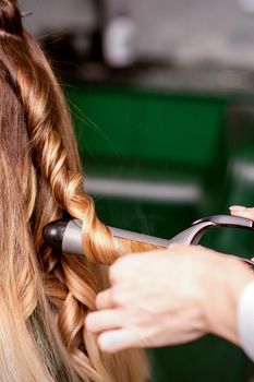 The female hairdresser is curling hair for a brown-haired young caucasian woman in a beauty salon