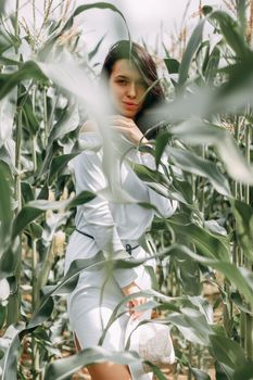 A brunette girl in a white dress in a cornfield. The concept of harvesting.