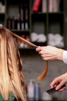 Professional hair care. Beautiful young caucasian blonde woman with long hair receiving hairstyling in a beauty salon