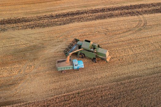 Combine harvester loading grain to the truck for transportation for storage