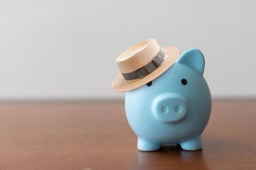 a piggy bank in a hat, money, vacation.