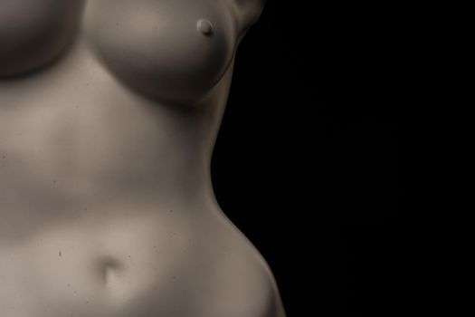 female mannequin torso isolated against dark studio background