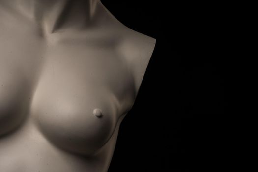 A White female manikin portrait with black background. Arts, anatomy and photography concept