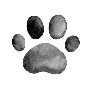 Watercolor black paw step isolated on white background