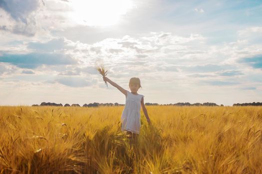 child in a wheat field. selective focus. nature