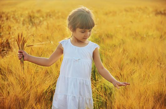child in a wheat field. selective focus. nature