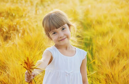 child in a wheat field. selective focus. nature