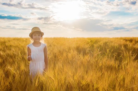 child in a wheat field. selective focus. nature